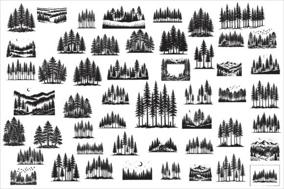 Download Beautiful Majestic Pine Trees Silhouette - Trees Collection