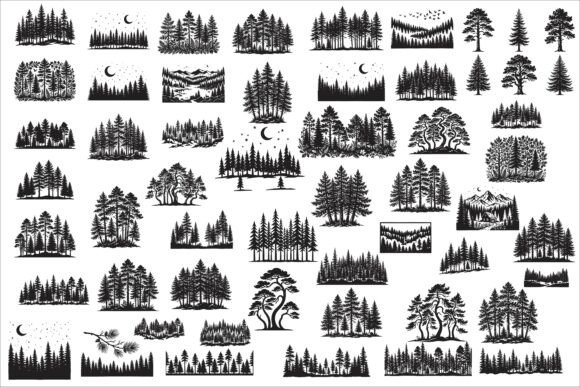 Download Beautiful Majestic Pine Trees Silhouette - Trees Collection
