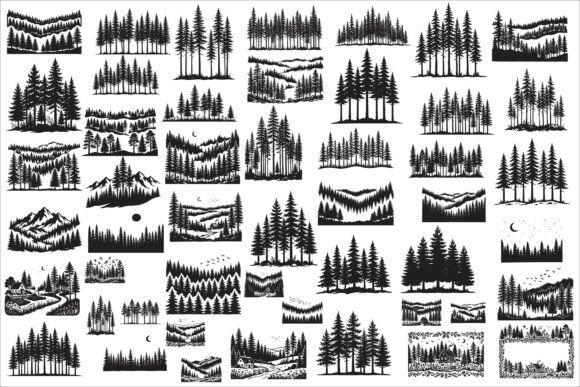 Download Beautiful Majestic Pine Trees Silhouette - Trees Collection