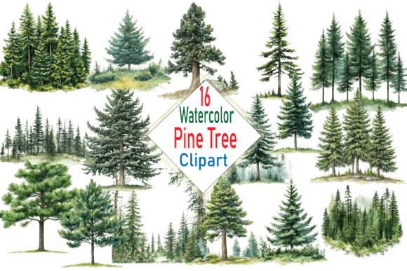 Download Watercolor Pine Trees Clipart PNG Bundle - Trees Collection